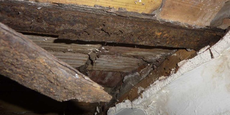 oxidacion 1 768x384